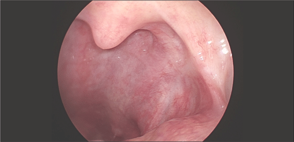 jcohns-35-3-119-g6